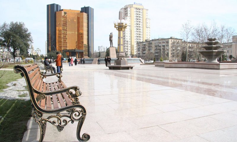 Skamyalar
