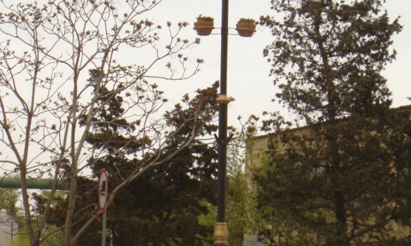 İşıqlandırma